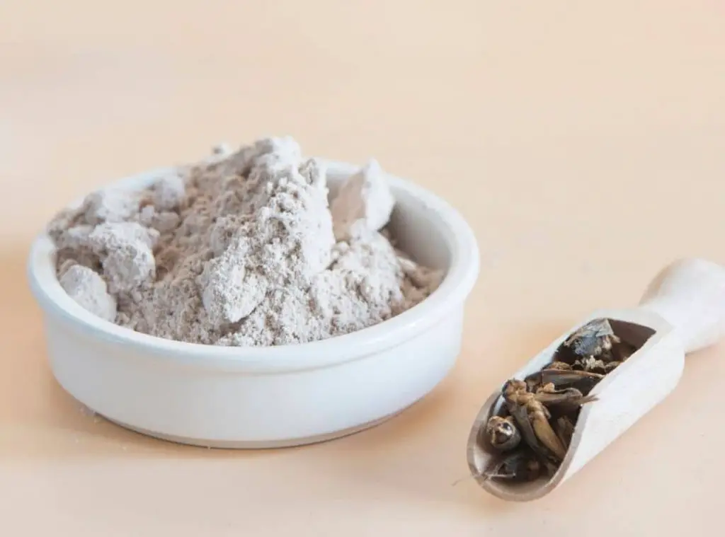 Rice weevils in flour 
