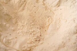 Rice weevils in flour