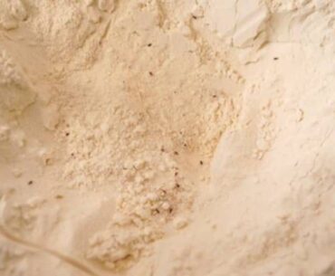 Rice weevils in flour