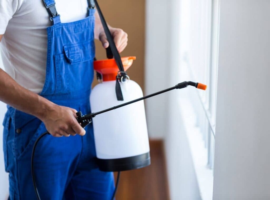 How Can You Do Pest Control At Home By Yourself 