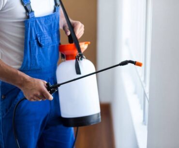 How Can You Do Pest Control At Home By Yourself