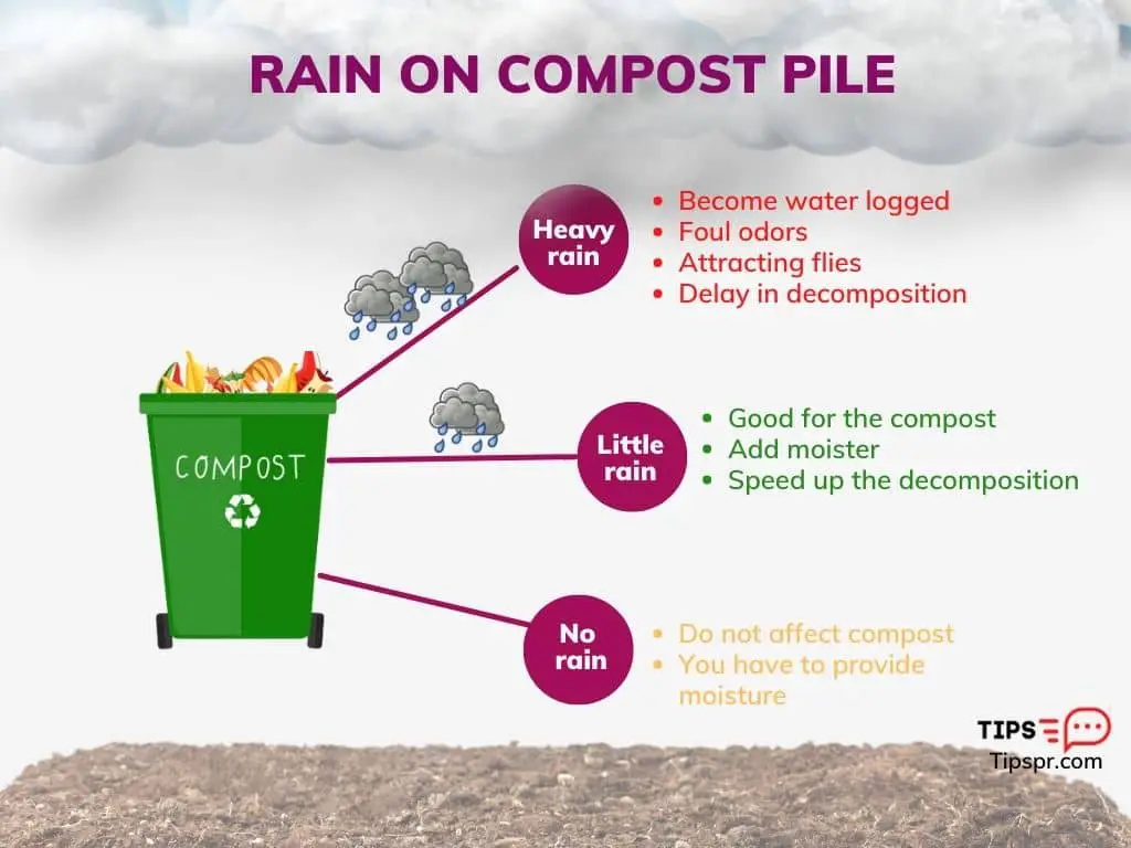 Rain On Compost Pile infographic 