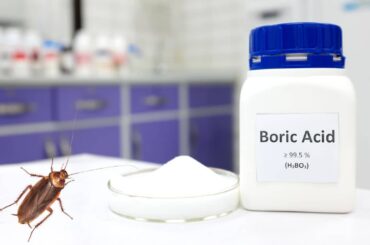 Can Boric Acid Kill Cockroaches