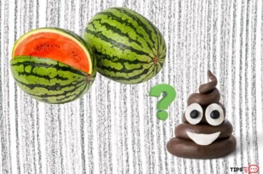Does Watermelon Make You Poop